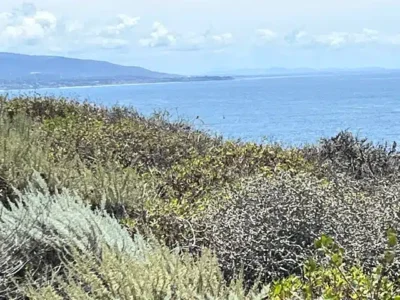 Coastal scrubland along the shore with blue sea and distant hills under a partly cloudy sky.