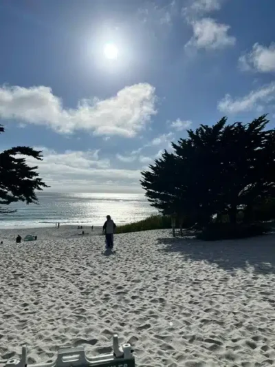 Sunny beach scene with white sand, a person walking toward the water, and trees on the right under a bright blue sky.