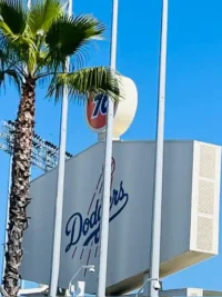 Dodgers Stadium Scoreboard - TruFlex Media Palm tree in the foreground beside a white building with a blue “Dodgers” sign, set against a bright blue sky and flagpoles.