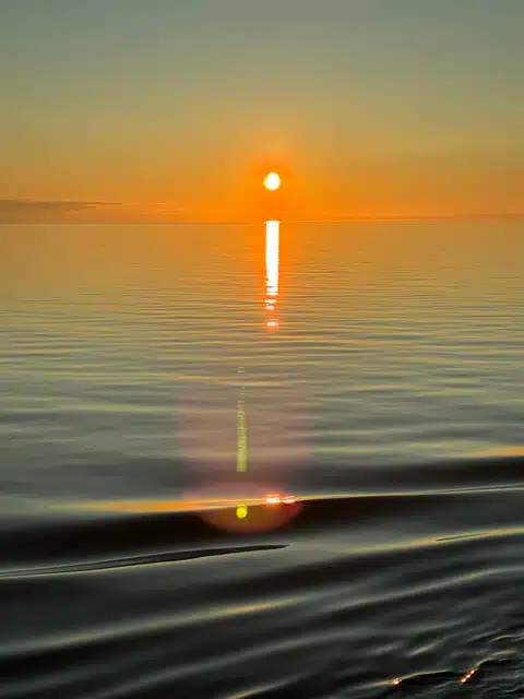 Alaska Sunset - TruFlex Media Orange sunset over calm water with the sun near the horizon and a bright reflection stretching across the surface; a dark, blurred foreground edge at the bottom.